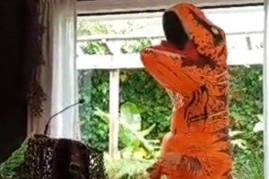 Screenshot 2025 10 31 134244