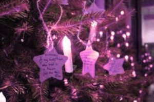 Screenshot 2025 12 17 152221 v2