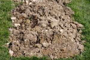 Screenshot 2025 12 29 084720